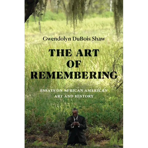 The Art of Remembering: Essays on African American Art and History
