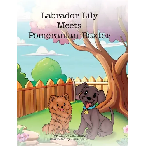 Labrador Lily Meets Pomeranian Baxter