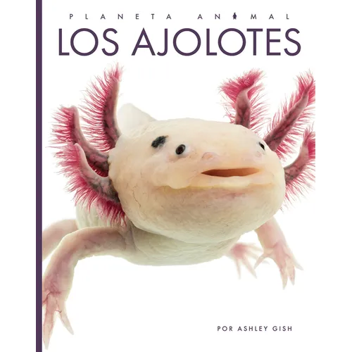 Los Ajolotes