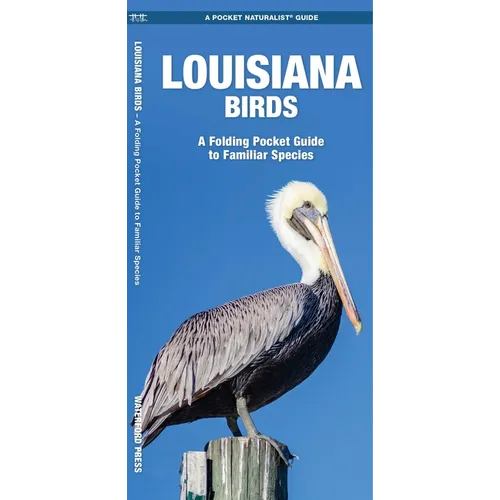 Louisiana Birds: A Folding Pocket Guide to Familiar Species