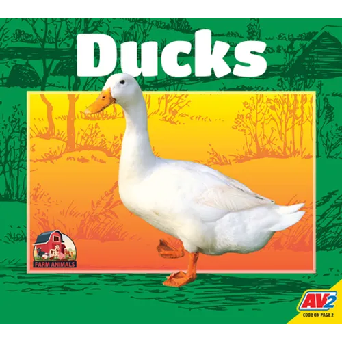 Ducks