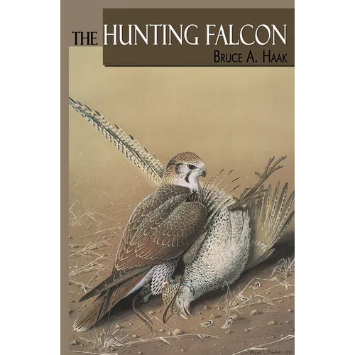 The Hunting Falcon