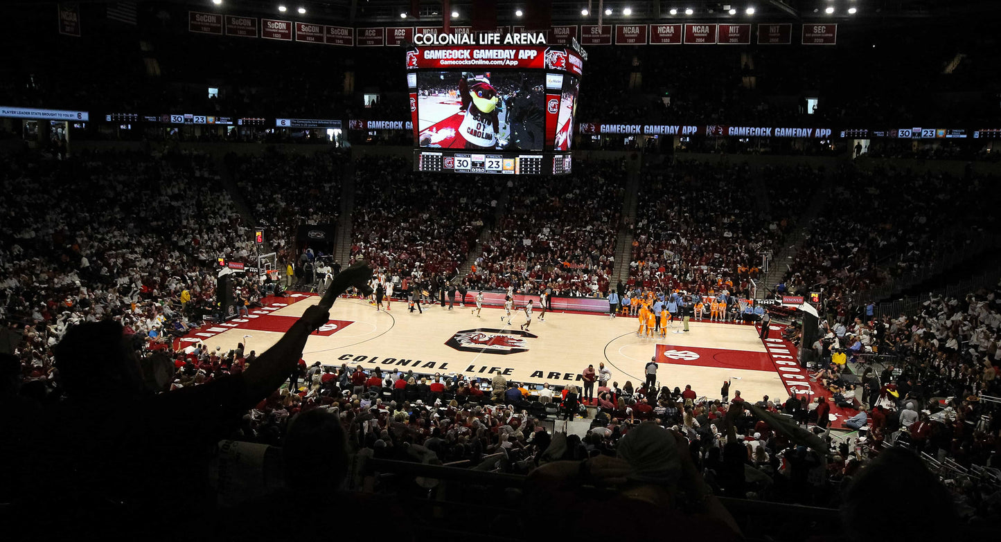 Dawn of a Dynasty: The South Carolina Gamecocks Return to College Basketball Glory with Their Second NCAA Title Book