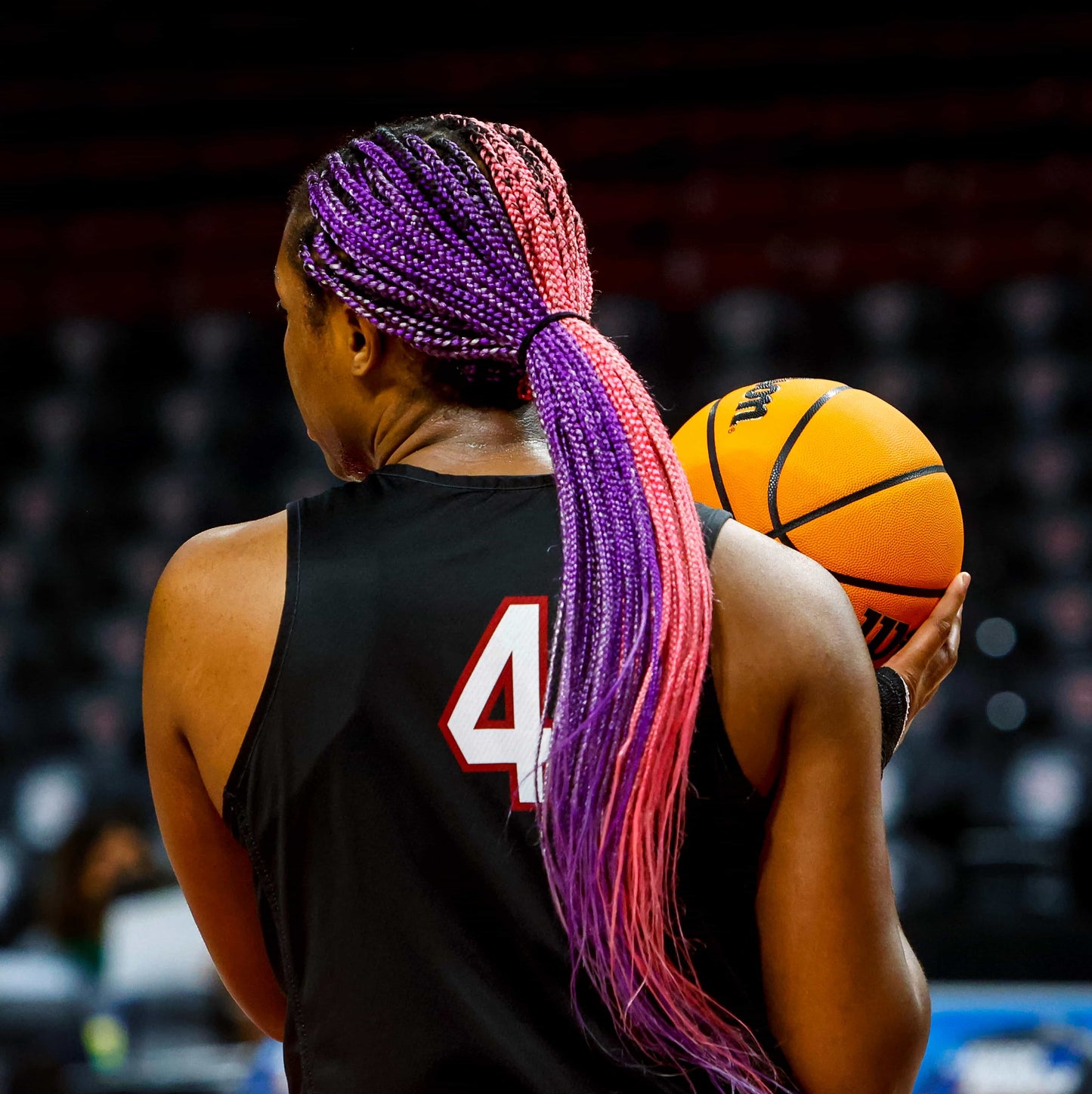 Dawn of a Dynasty: The South Carolina Gamecocks Return to College Basketball Glory with Their Second NCAA Title Book