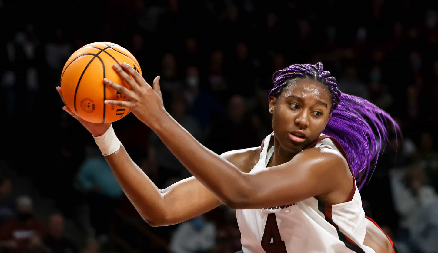 Dawn of a Dynasty: The South Carolina Gamecocks Return to College Basketball Glory with Their Second NCAA Title Book