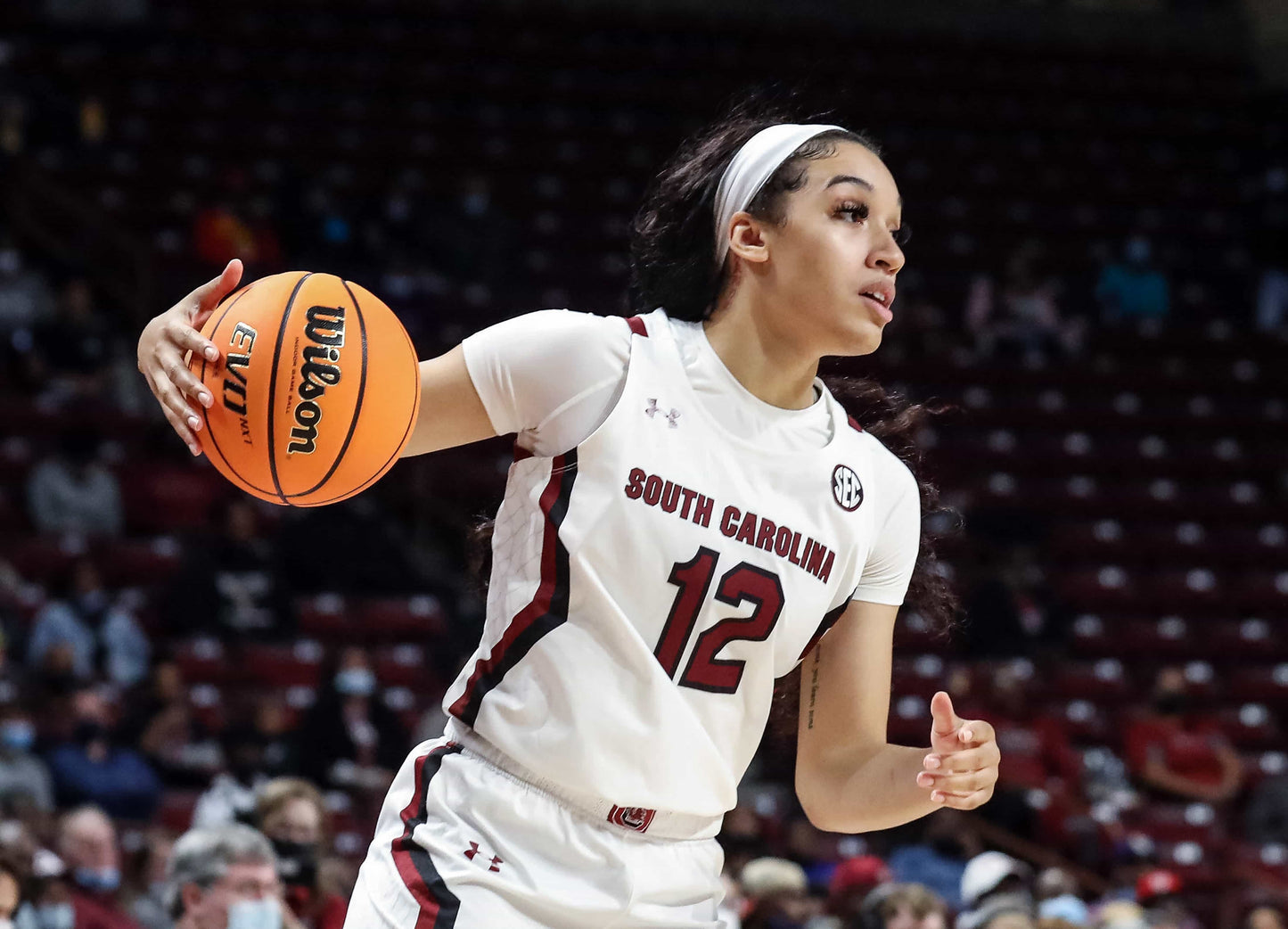 Dawn of a Dynasty: The South Carolina Gamecocks Return to College Basketball Glory with Their Second NCAA Title Book