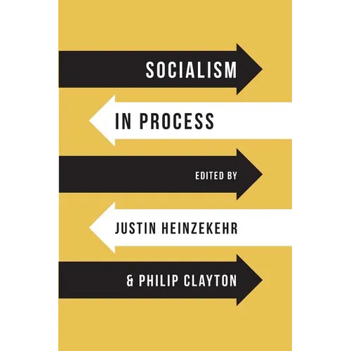 Socialism in Process
