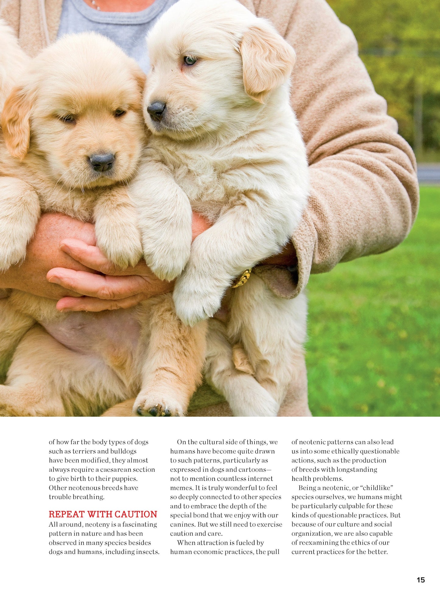 Inside Your Dog's Mind - New Discoveries: What They Really Think, Understand Their World, Decode Your Pet's Personality, Dog Dreams Explained + Teach Your Pup English!