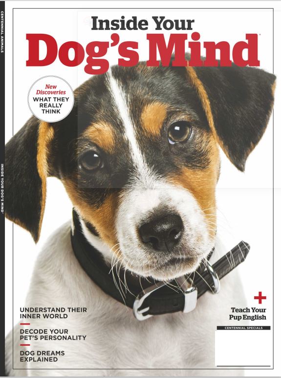 Inside Your Dog's Mind - New Discoveries: What They Really Think, Understand Their World, Decode Your Pet's Personality, Dog Dreams Explained + Teach Your Pup English!