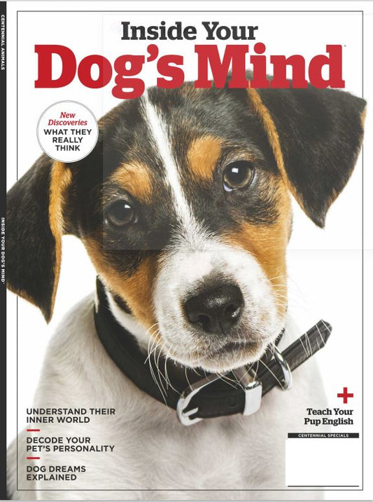 Inside Your Dog's Mind - New Discoveries: What They Really Think, Understand Their World, Decode Your Pet's Personality, Dog Dreams Explained + Teach Your Pup English!