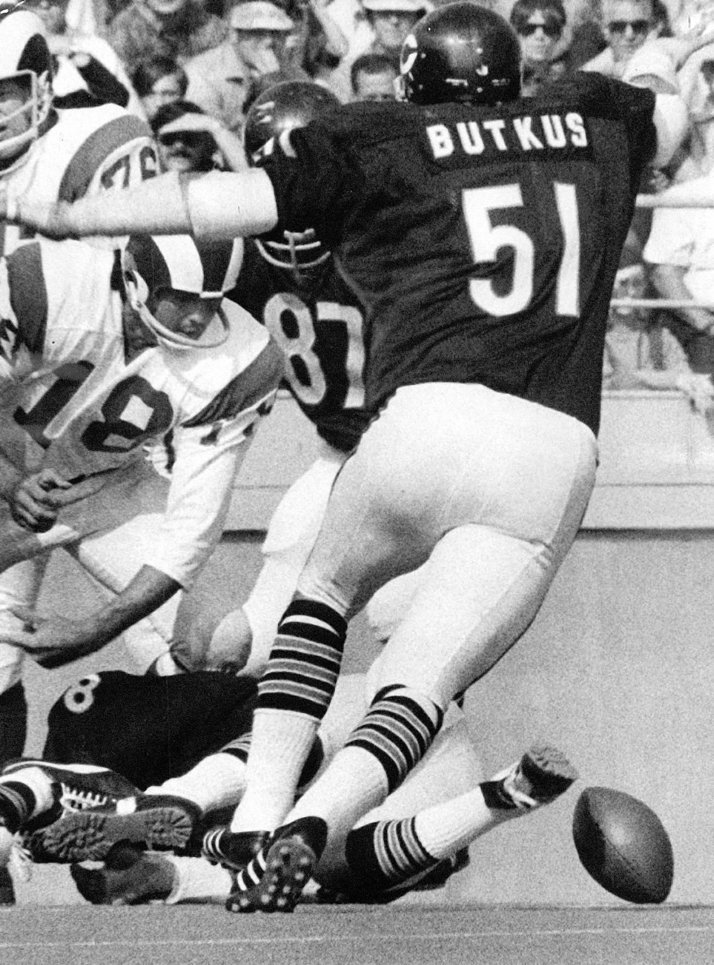 Butkus: The Legendary Career of Dick Butkus Book