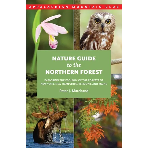 Nature Guide to the Northern Forest: Exploring the Ecology of the Forests of New York, New Hampshire, Vermont, and Maine