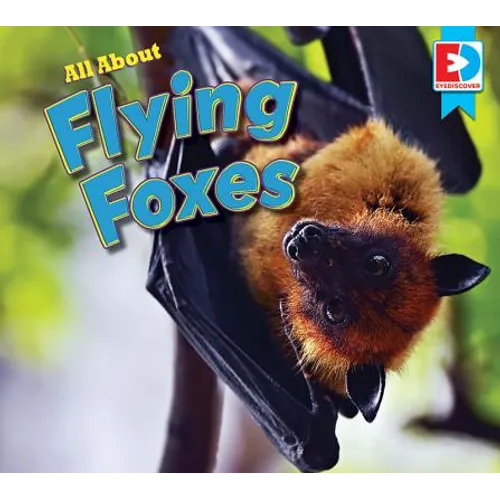 All about Flying Foxes