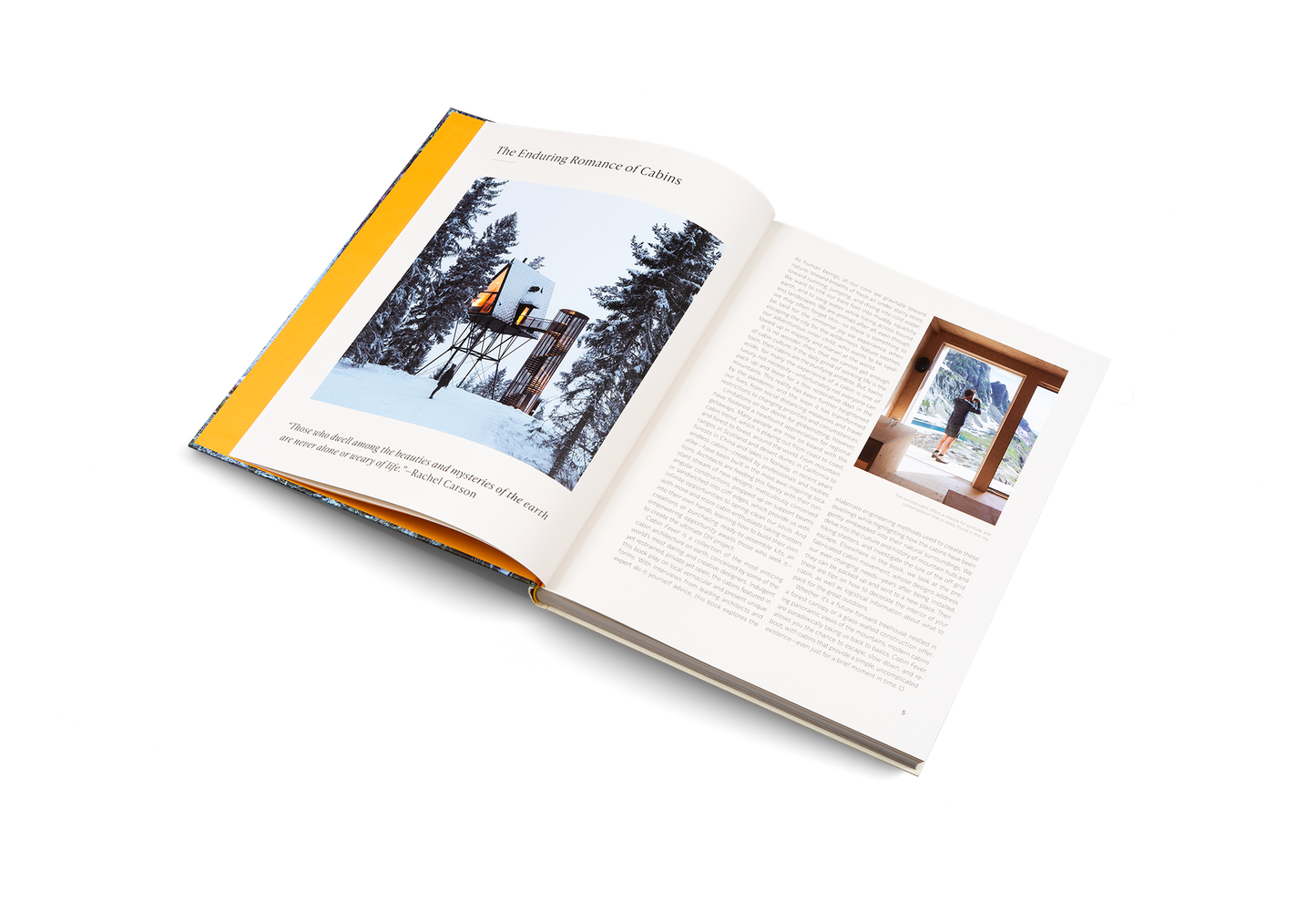 Cabin Fever Book