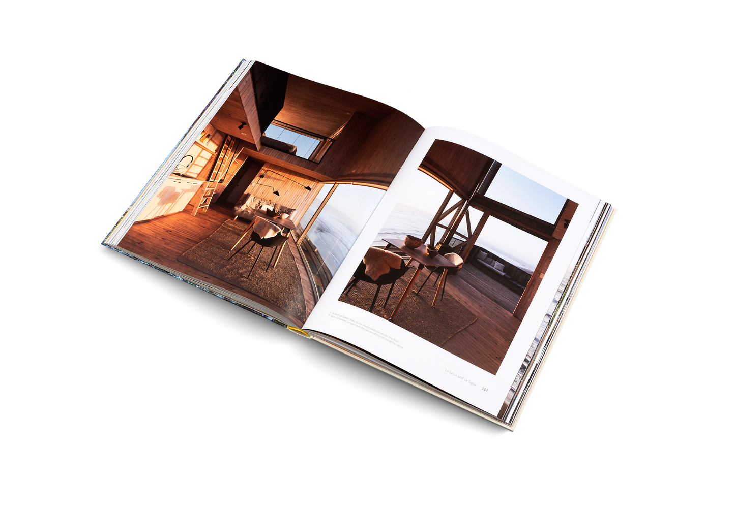 Cabin Fever Book