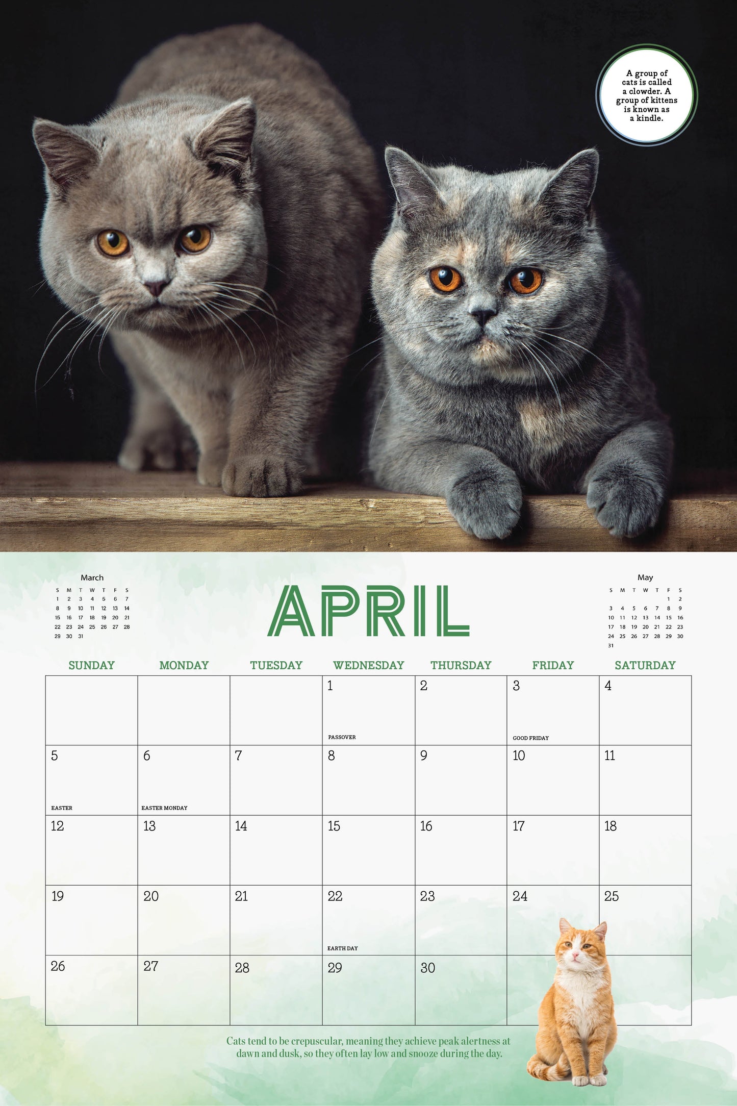 Cute Cats - 2026 Calendar: A Year Of Playful, Lovable & Adorable Furry Feline Friends, Adorable Collection Of Cats & Kittens, Bring Happiness & Warmth To Cat Lovers & More!