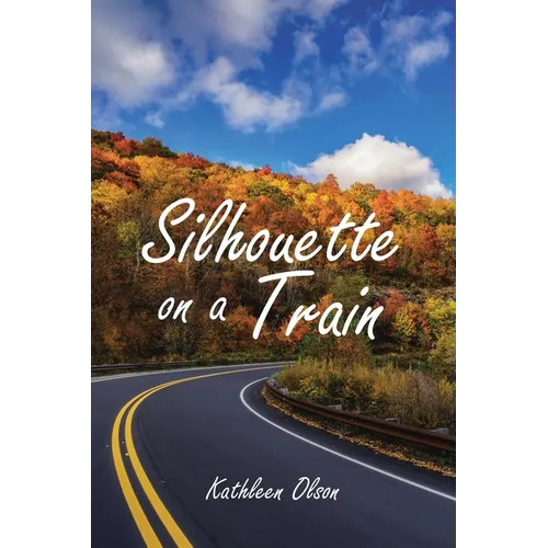 Silhouette on a Train