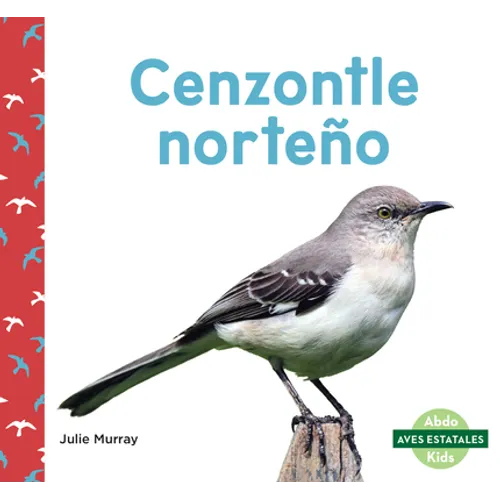 Cenzontle Norteno (Northern Mockingbirds)