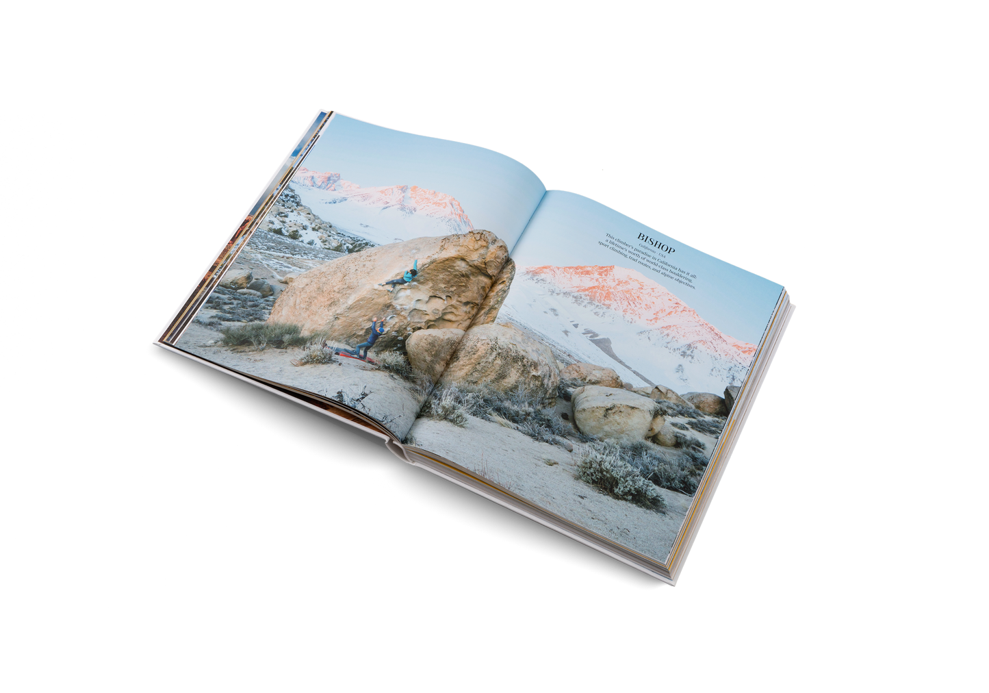 Cliffhanger Book