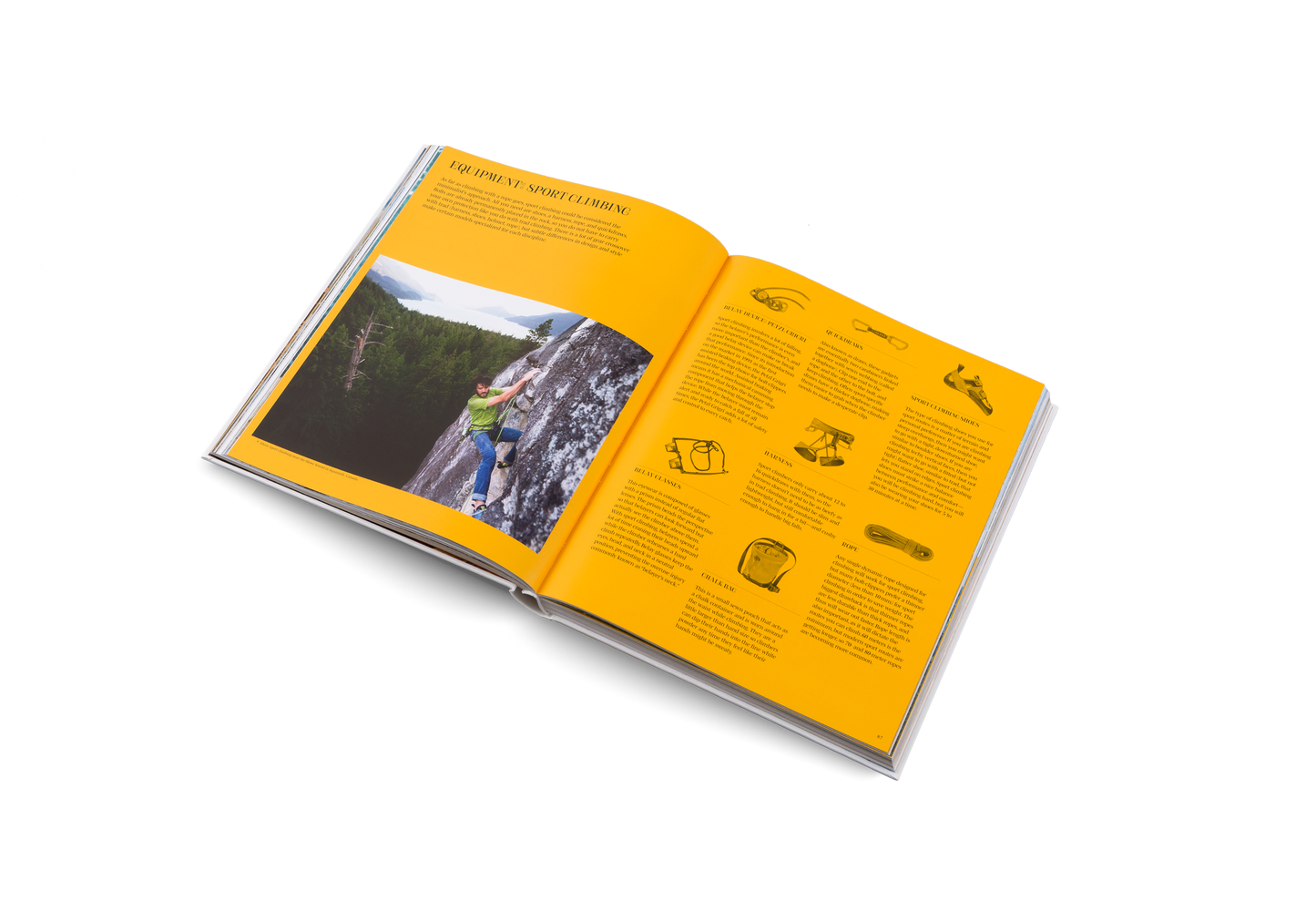 Cliffhanger Book