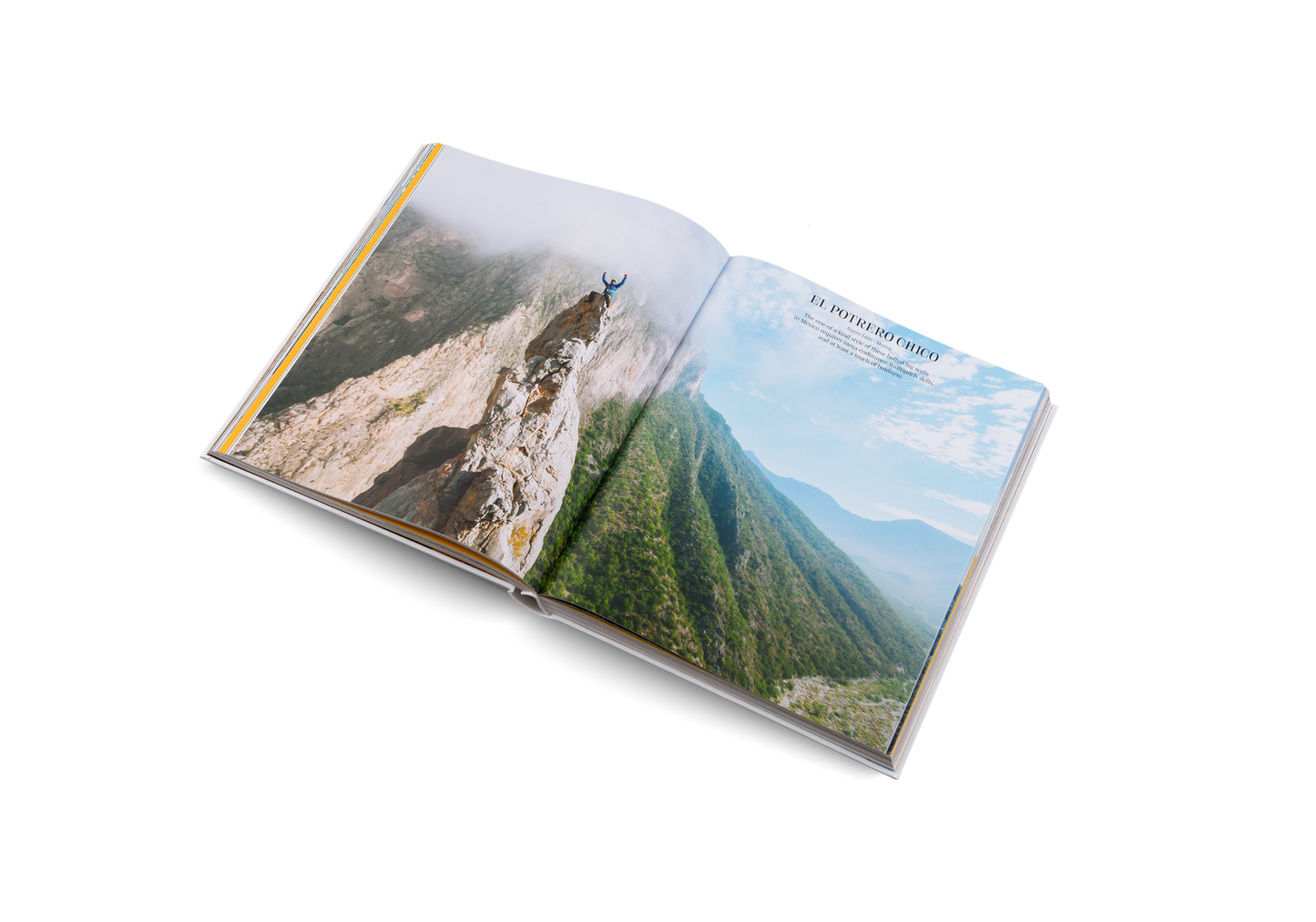 Cliffhanger Book