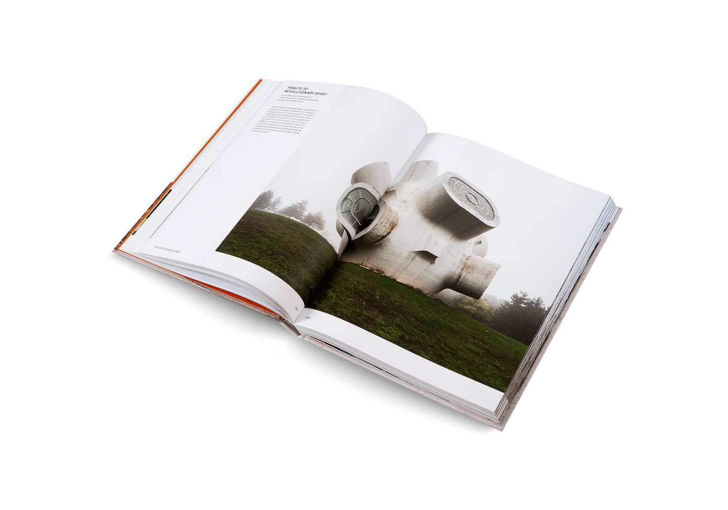 Concrete, mon amour Book