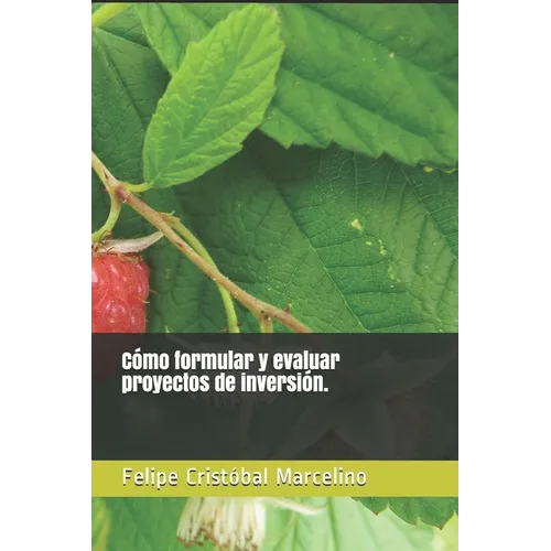 Cómo formular y evaluar proyectos de inversión.