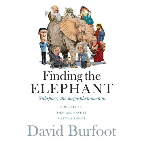 Finding the Elephant: Subspace, the Mega-phenomenon
