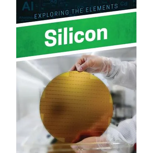 Silicon