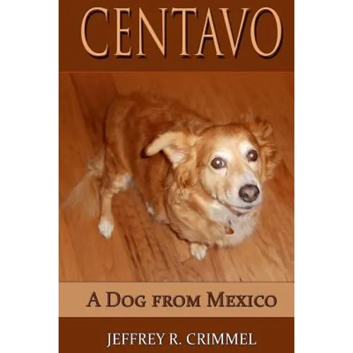 Centavo, A Dog From Mexico