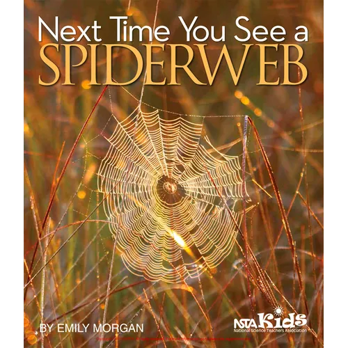 Next Time You See a Spiderweb