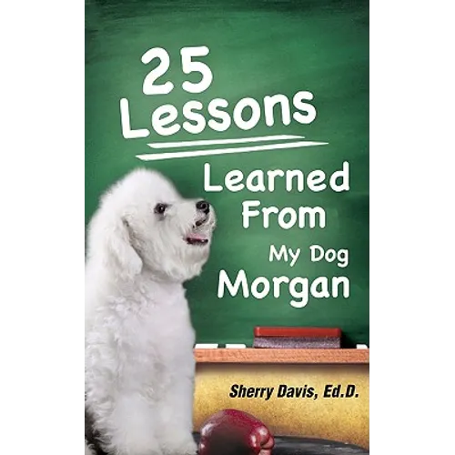 25 Lessons Learned From My Dog Morgan