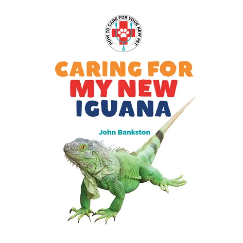 Caring for My New Iguana