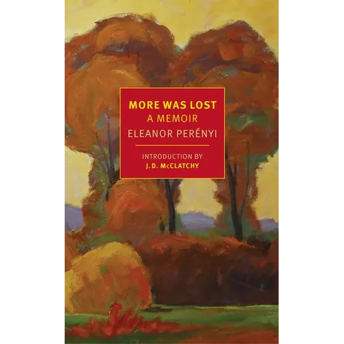 More Was Lost: A Memoir