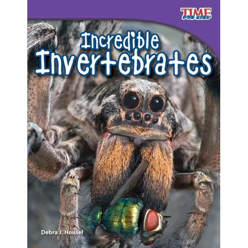 Incredible Invertebrates