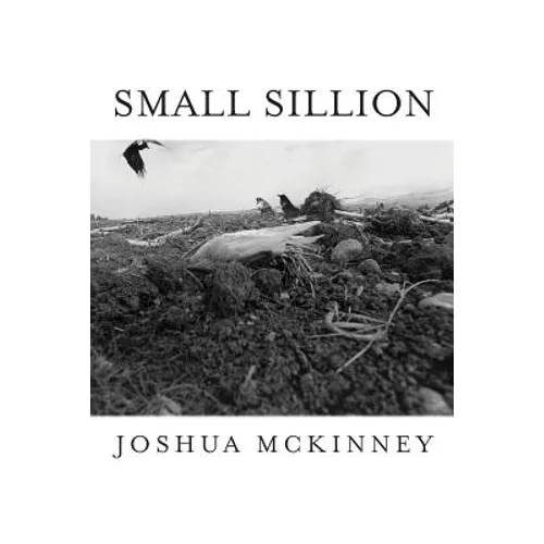 Small Sillion