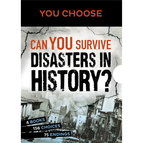 You Choose: Can You Survive Disasters in History? Boxed Set