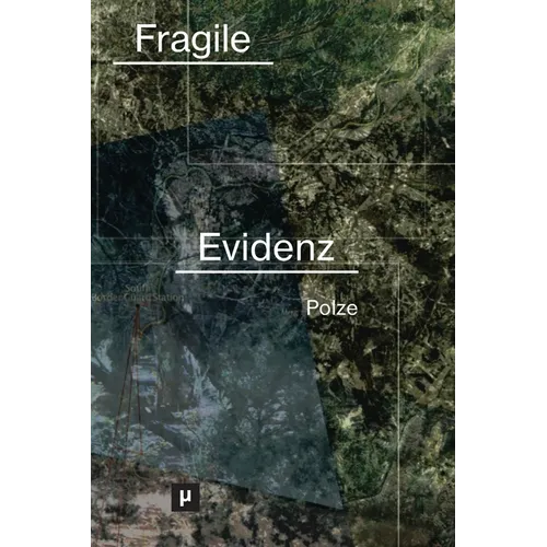 Fragile Evidenz: Videodokumente illegaler Zurückweisungen an Europas Grenzen