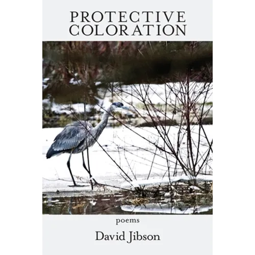 Protective Coloration