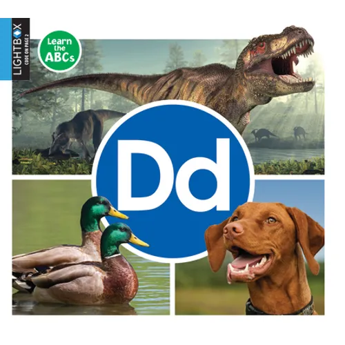 DD