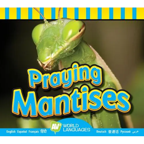 Praying Mantises