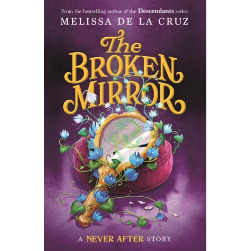 Broken Mirror