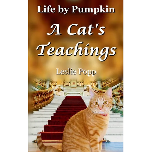Life by Pumpkin: A Cat's Teachings