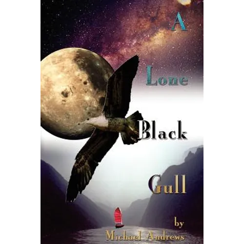 A Lone Black Gull