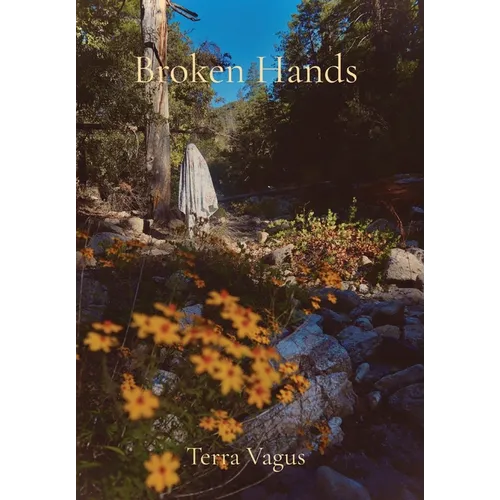Broken Hands