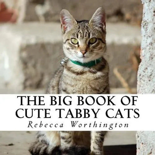 The Big Book of Cute Tabby Cats: A text-free book for Seniors and Alzheimer's patients