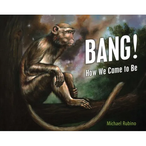 Bang!: How We Came to Be