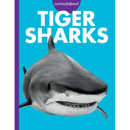 Curious about Tiger Sharks