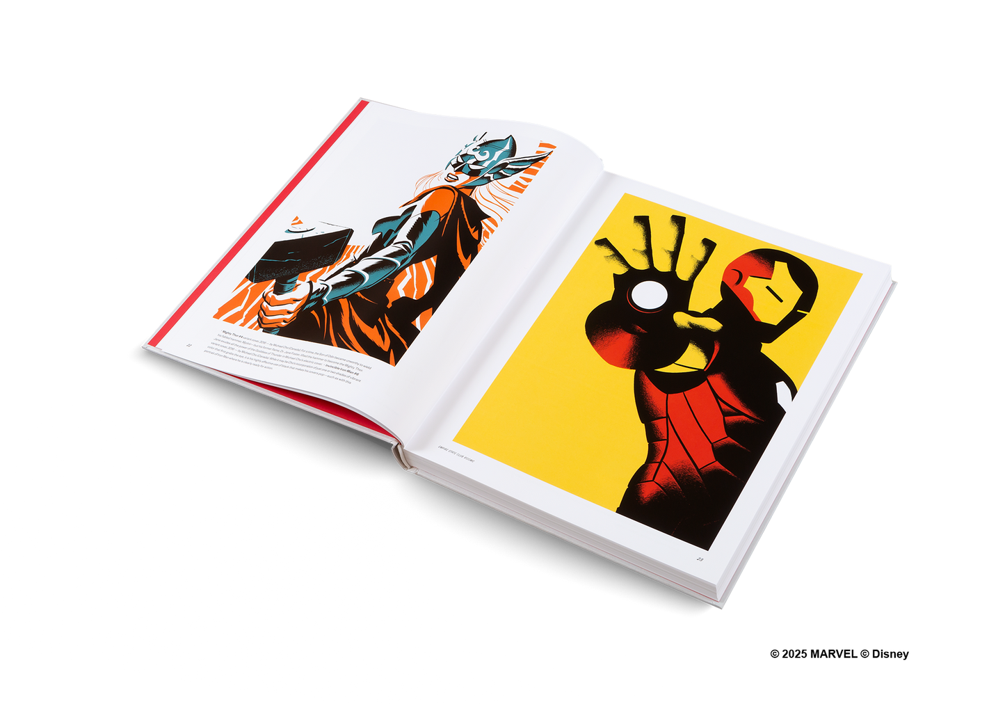 Disney Hotel New York: The Art of Marvel Book