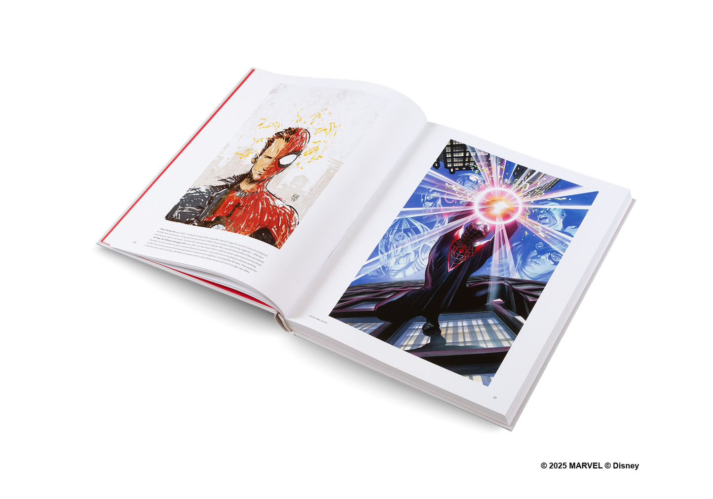 Disney Hotel New York: The Art of Marvel Book